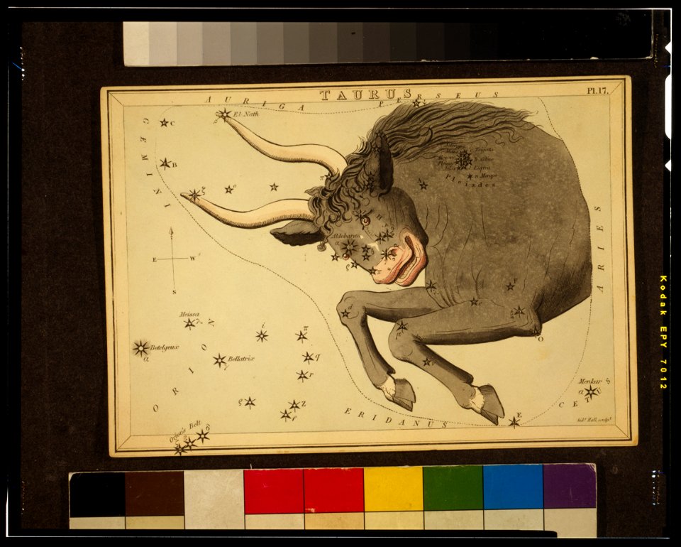 TaurusConstellation