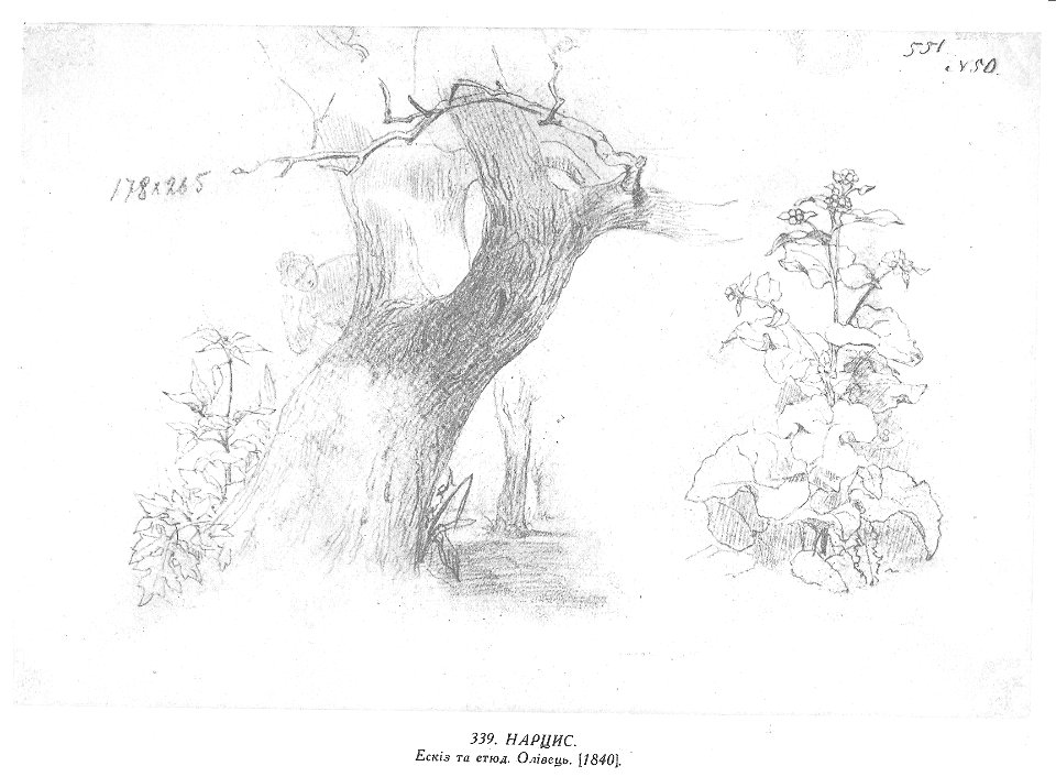Taras Shevchenko painting 0339