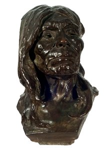 Tasa (India Fueguina) - Victor de Pol