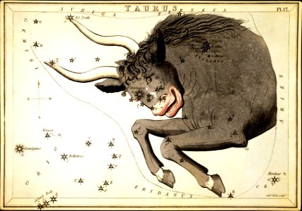 TaurusConstellation2