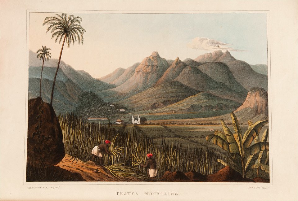 Tejuca Mountains (2), da Coleção Brasiliana Iconográfica
