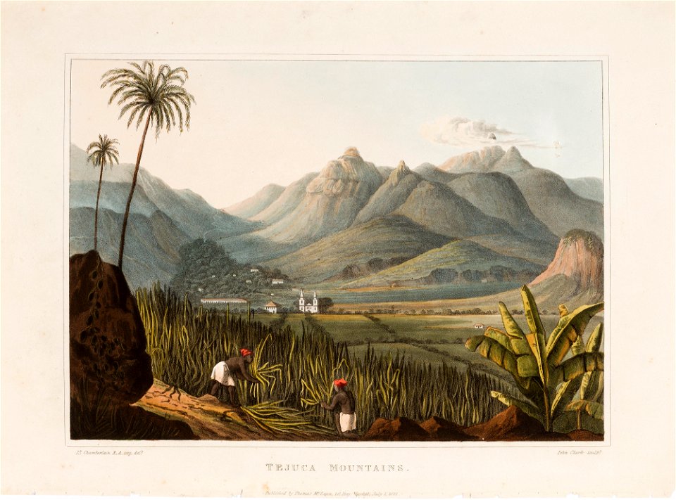 Tejuca Mountains (3), da Coleção Brasiliana Iconográfica