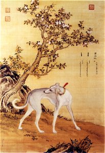 Ten Prized Dogs 04