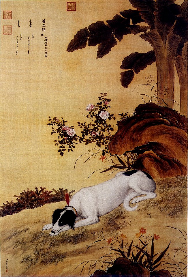Ten Prized Dogs 06