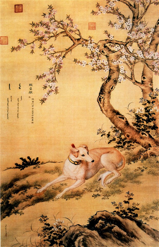 Ten Prized Dogs 01