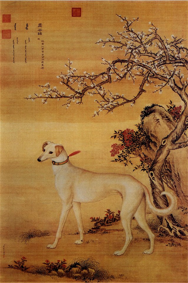 Ten Prized Dogs 09