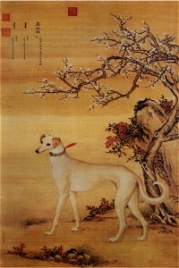 Ten Prized Dogs 09
