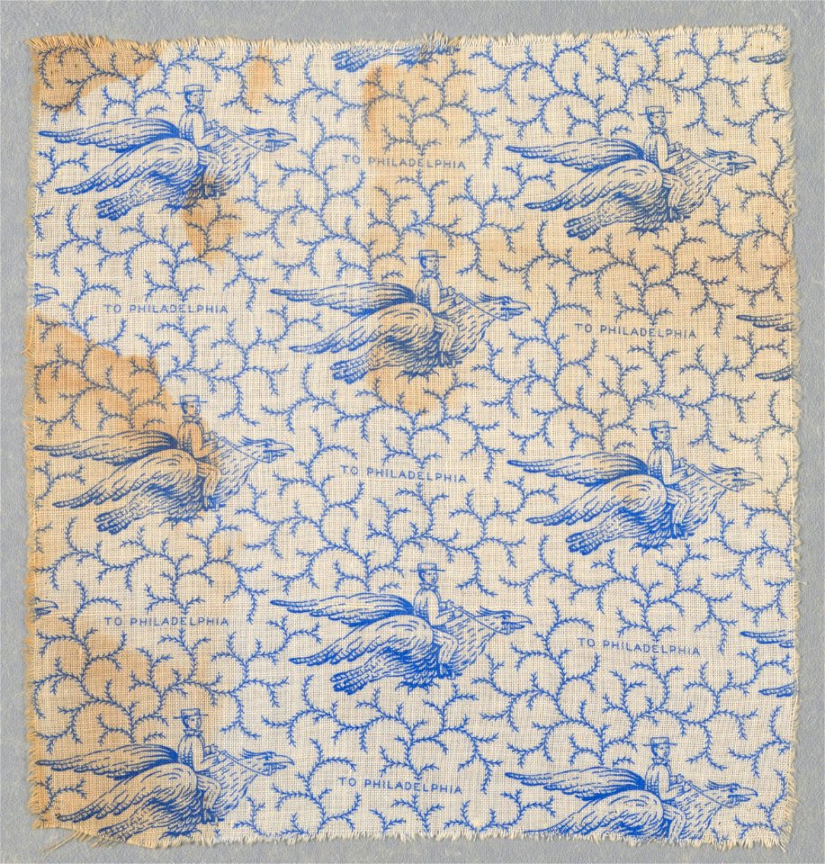 Textile (USA), 1870s (CH 18556935-2)
