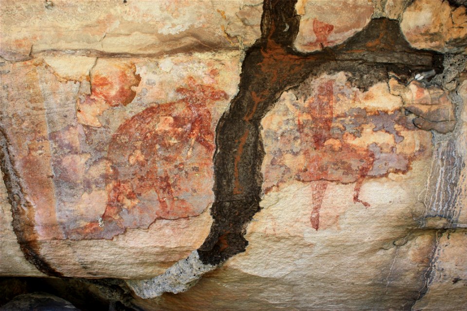 Termite tunnel over red wallaby and goanna - Google Art Project
