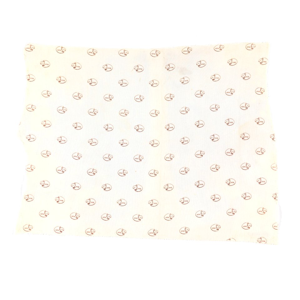 Textile Sample (USA), 1870s (CH 18556943)