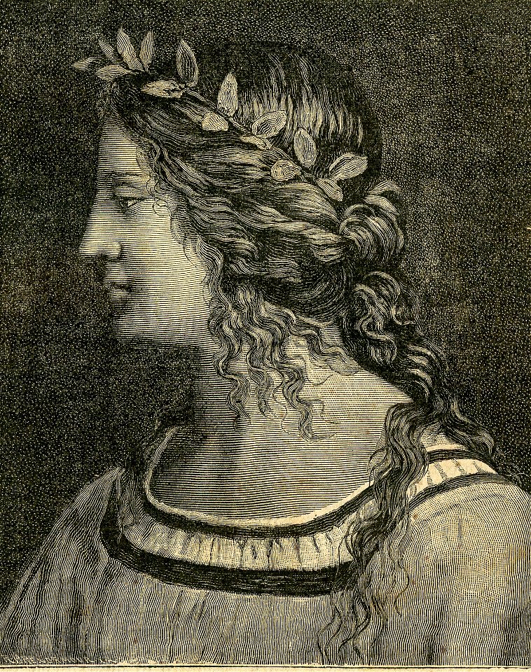 Testa della Vergine, nello sposalizio di Bernardino Luini