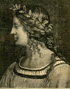 Testa della Vergine, nello sposalizio di Bernardino Luini