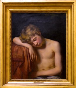 Teylers Museum - Wouterus Mol - Schilderij Slapende jongen