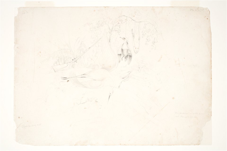 The 'Koetuku' or White Heron and Paradise Duck
