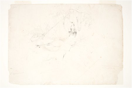 The 'Koetuku' or White Heron and Paradise Duck