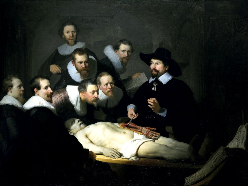 The Anatomy Lesson