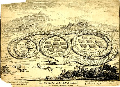 The American rattle snake. (BM 1868,0808.4824)