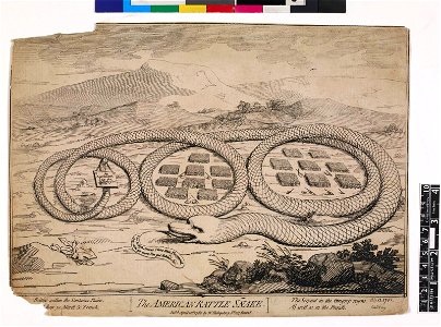 The American rattle snake. (BM 1868,0808.4824 1)