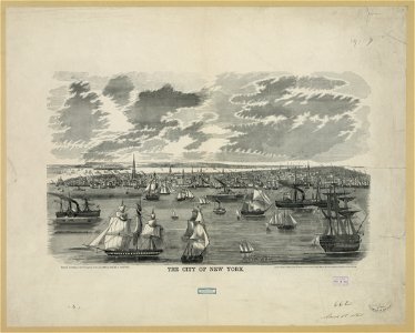 The city of New York - Horton, N.Y. LCCN2006677675