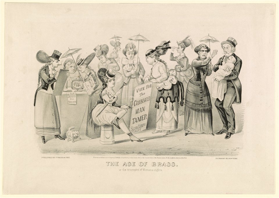 The age of brass. Or the triumphs of woman's rights LCCN90708465