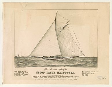 The American champion sloop yacht mayflower LCCN90708499
