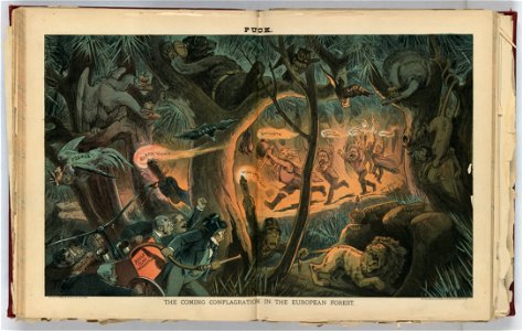 The coming conflagration in the European forest - F. Graetz. LCCN2012645458