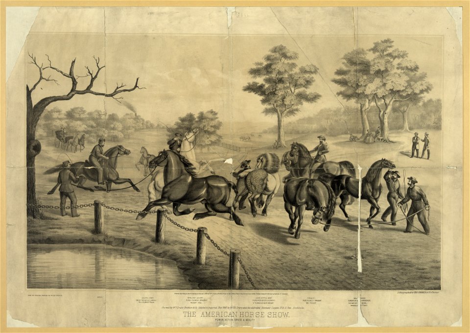 The American horse show. Power, action, speed & beauty LCCN2003677759