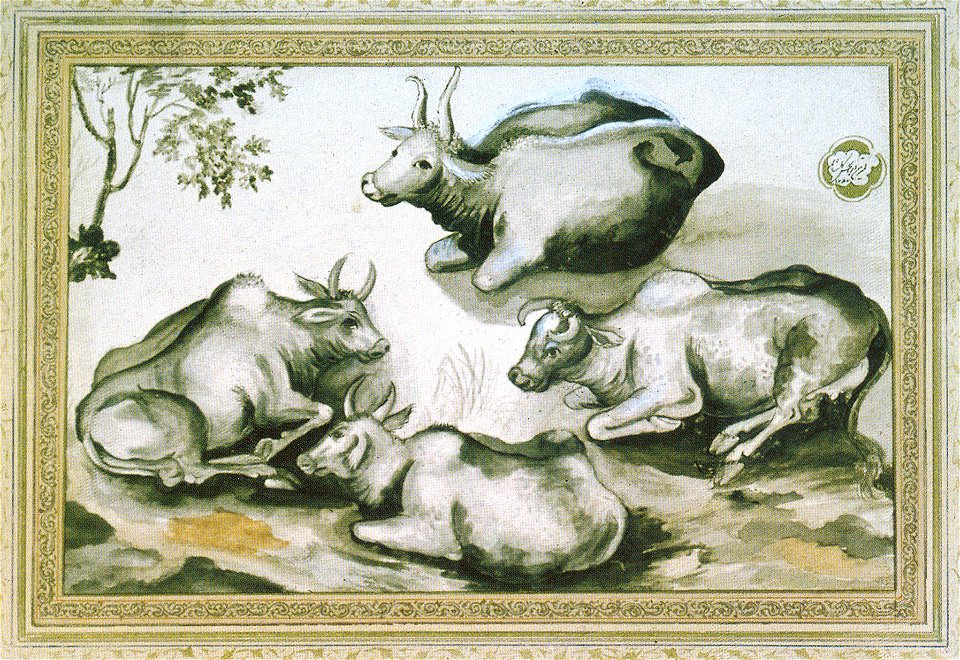 The Cows - Saniolmolk