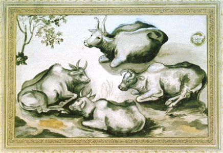The Cows - Saniolmolk