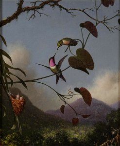 The Amethyst, Brazil by Martin Heade, Museum of the Shenandoah Valley. Free illustration for personal and commercial use.