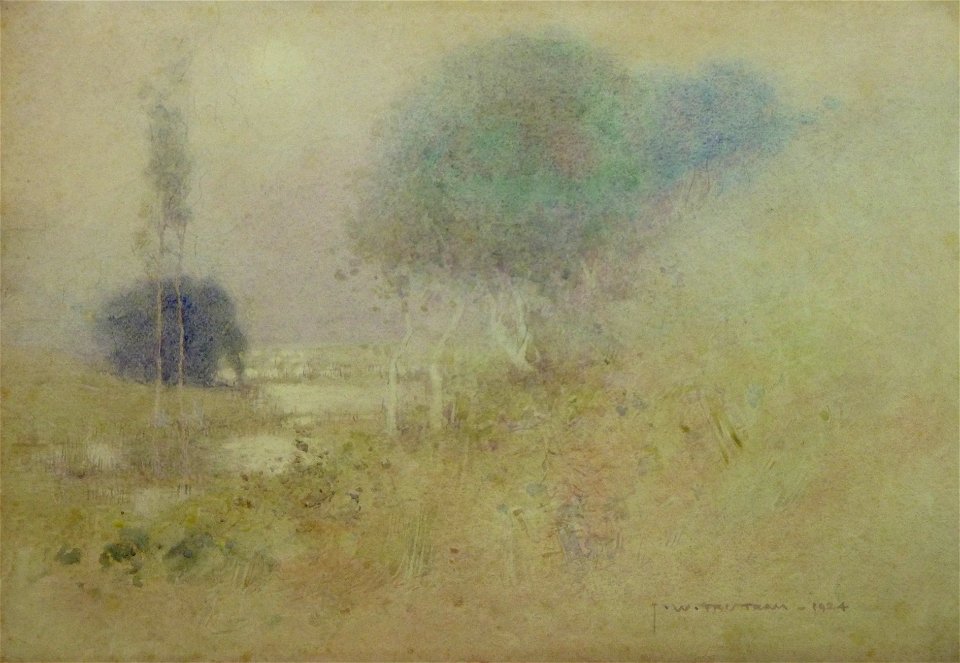 The creek in morning mist