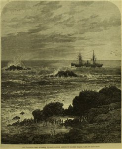 The Colonial Mail Steamer Windsor Castle ashore on Dassen Island, Cape of Good Hope - ILN 1876