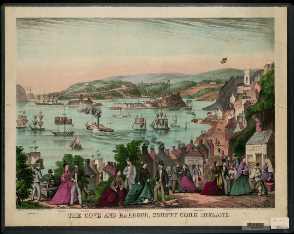 The cove and harbour, County Cork Ireland LCCN2003681504