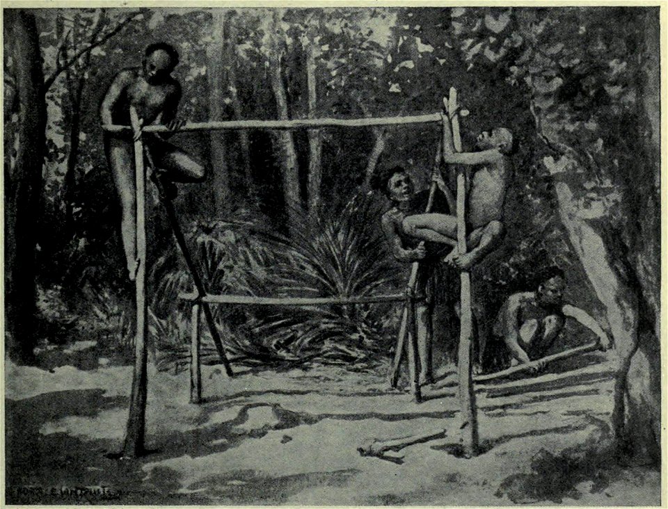 The dawn of life Building a home