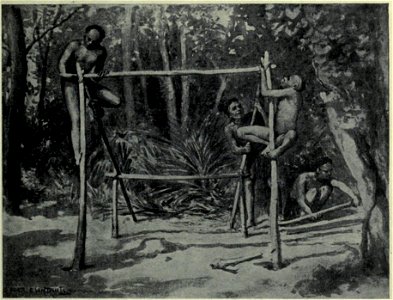 The dawn of life Building a home