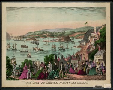The cove and harbour, County Cork Ireland LCCN2003681504