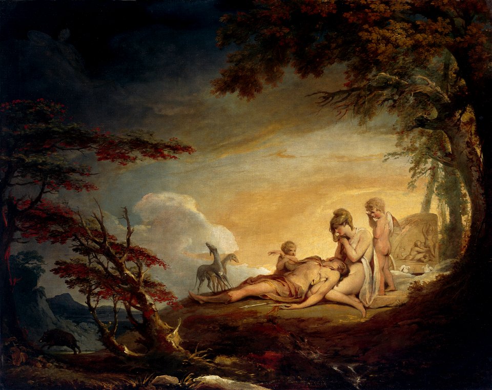 The Death of Adonis P562