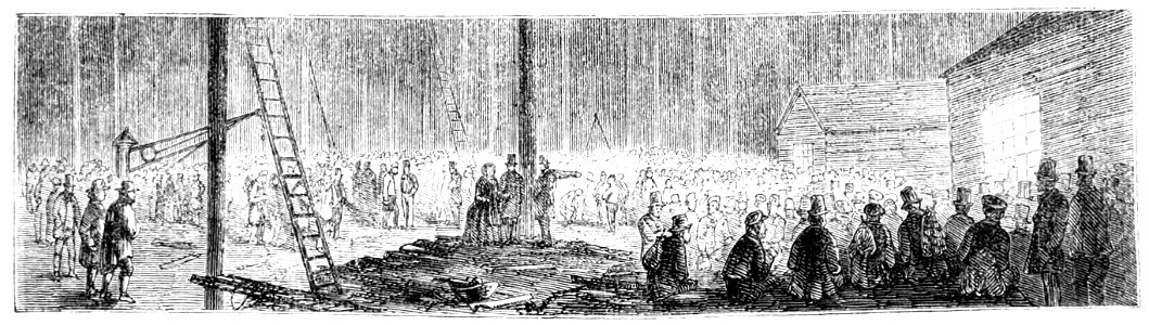 The Crystal Palace page 82