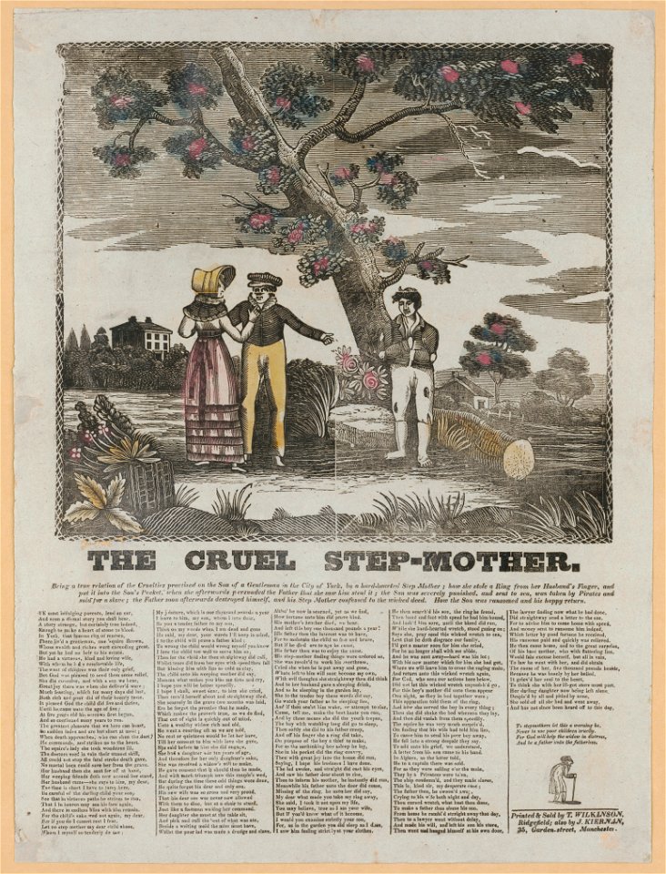The Cruel step-mother LCCN2003681614