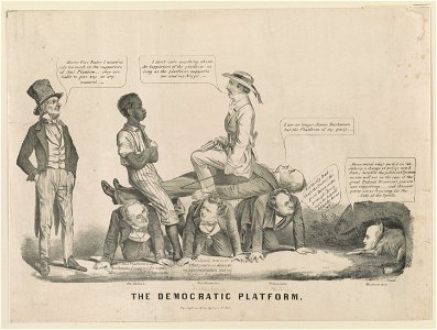 The Democratic platform LCCN2017648269