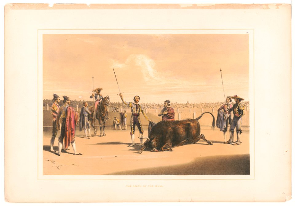 The death of the bull LCCN2003674548
