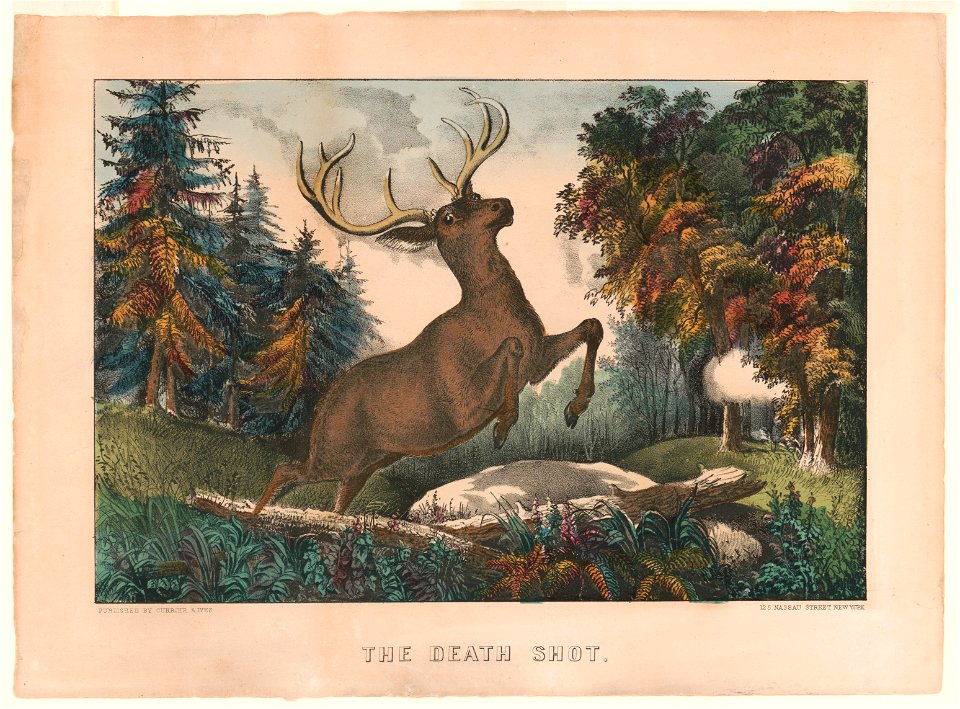 The death shot LCCN91789402