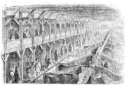 The Crystal Palace page 19