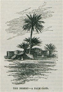 The Desert – A palm oasis - Bennet James Henry M - 1875. Free illustration for personal and commercial use.