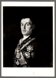 The Duke of Wellington (5236461)