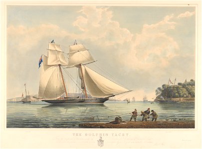 The Dolphin yacht RMG PY8652