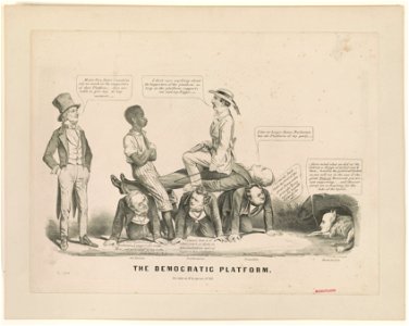 The Democratic platform LCCN91795206