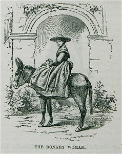The donkey woman - Bennet James Henry M - 1875