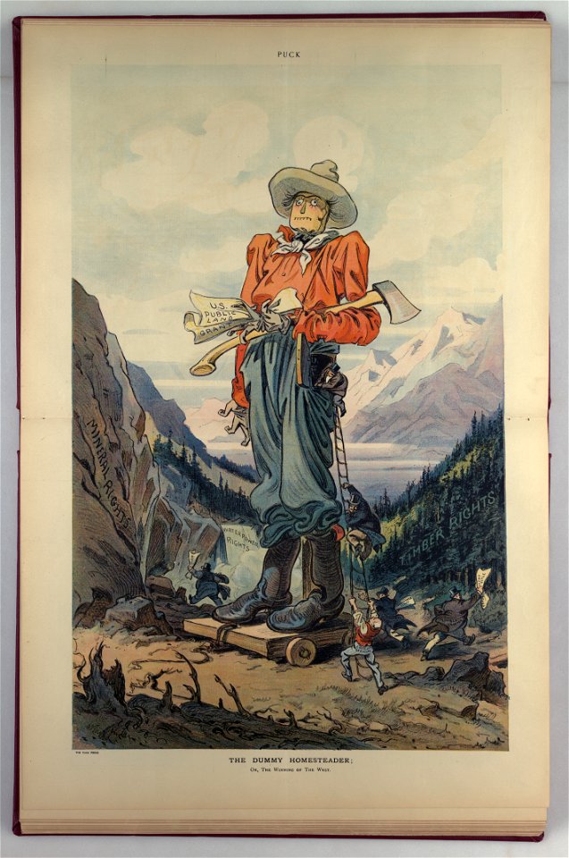 The dummy homesteader; or, the winning of the West - K. LCCN2011647525