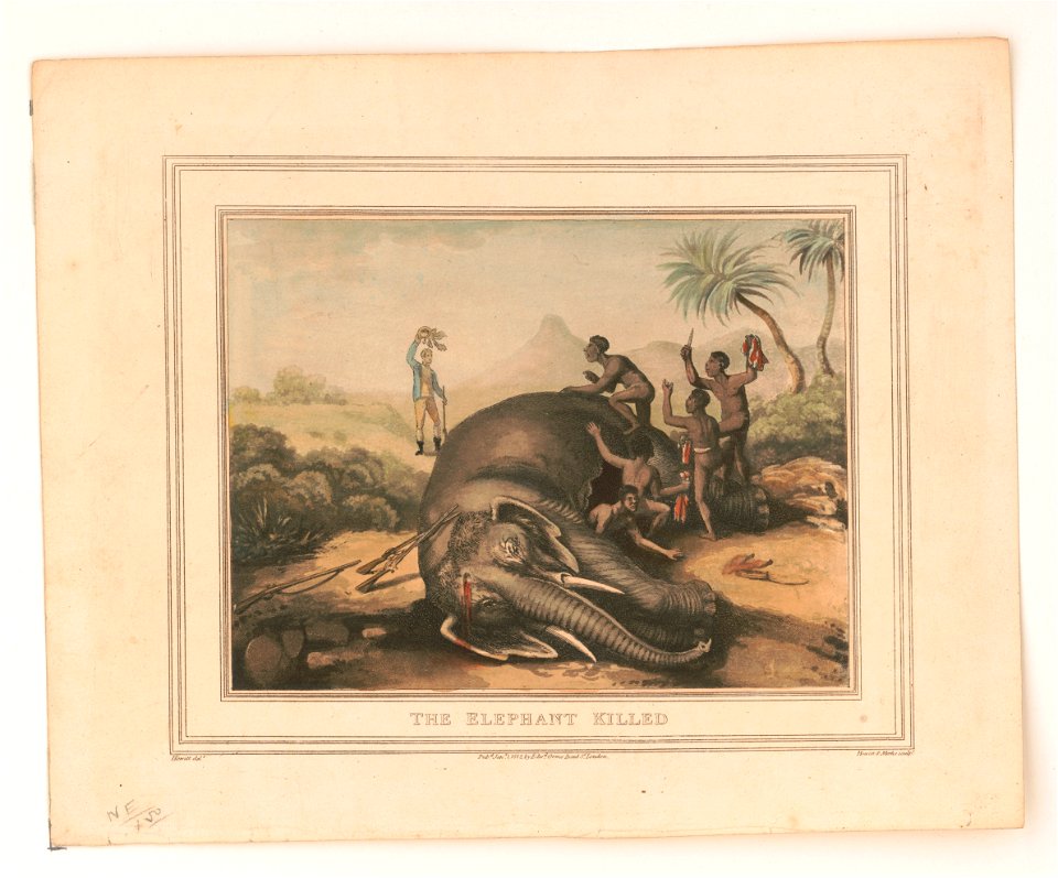 The elephant killed LCCN2004670292